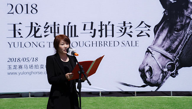 山西玉龍投資集團有限公司